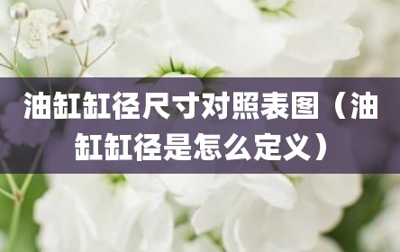油缸缸径尺寸对照表图（油缸缸径是怎么定义）