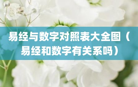 易经与数字对照表大全图（易经和数字有关系吗）
