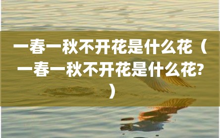 一春一秋不开花是什么花（一春一秋不开花是什么花?）