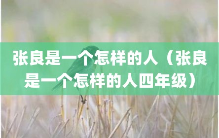 张良是一个怎样的人（张良是一个怎样的人四年级）