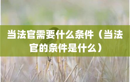 当法官需要什么条件（当法官的条件是什么）