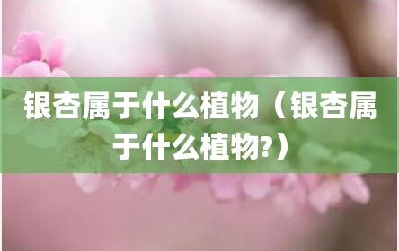 银杏属于什么植物（银杏属于什么植物?）
