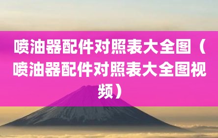 喷油器配件对照表大全图（喷油器配件对照表大全图视频）