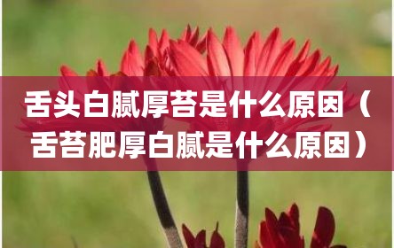 舌头白腻厚苔是什么原因（舌苔肥厚白腻是什么原因）