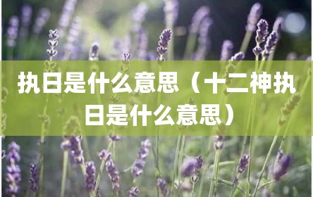 执日是什么意思（十二神执日是什么意思）