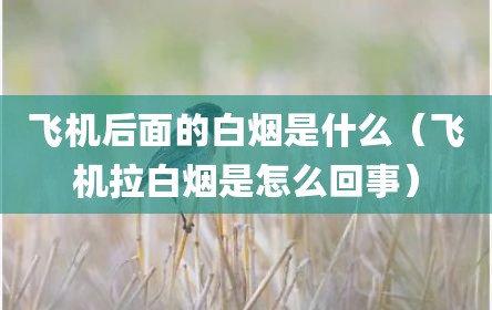 飞机后面的白烟是什么（飞机拉白烟是怎么回事）