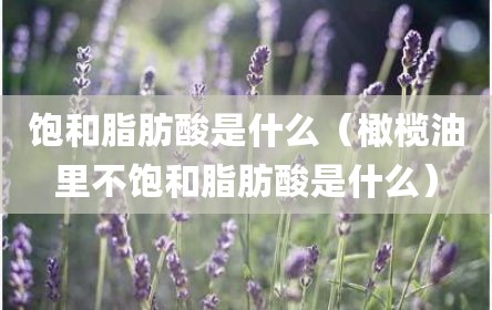 饱和脂肪酸是什么（橄榄油里不饱和脂肪酸是什么）