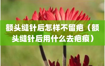 额头缝针后怎样不留疤（额头缝针后用什么去疤痕）