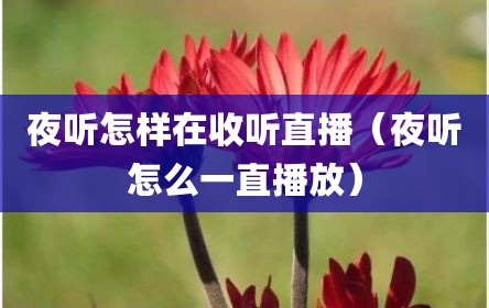夜听怎样在收听直播（夜听怎么一直播放）