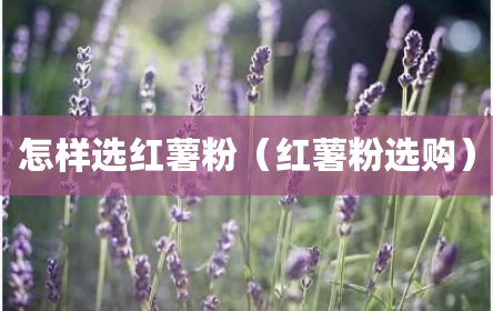 怎样选红薯粉（红薯粉选购）