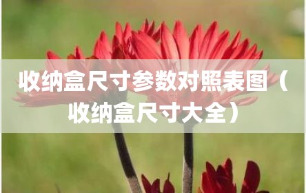 收纳盒尺寸参数对照表图（收纳盒尺寸大全）