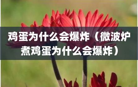 鸡蛋为什么会爆炸（微波炉煮鸡蛋为什么会爆炸）