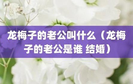 龙梅子的老公叫什么（龙梅子的老公是谁 结婚）