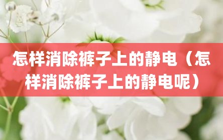 怎样消除裤子上的静电（怎样消除裤子上的静电呢）