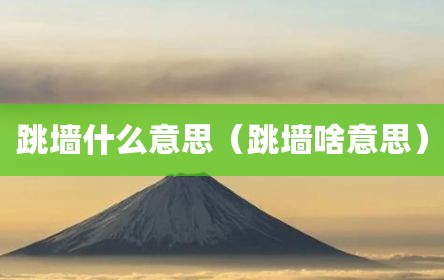 跳墙什么意思（跳墙啥意思）