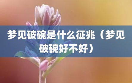 梦见破碗是什么征兆（梦见破碗好不好）