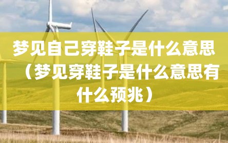 梦见自己穿鞋子是什么意思（梦见穿鞋子是什么意思有什么预兆）