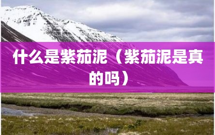 什么是紫茄泥（紫茄泥是真的吗）