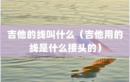 吉他的线叫什么（吉他用的线是什么接头的）