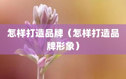 怎样打造品牌（怎样打造品牌形象）