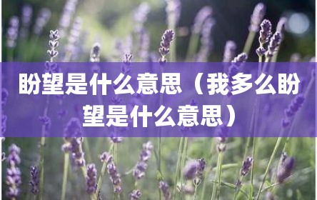 盼望是什么意思（我多么盼望是什么意思）