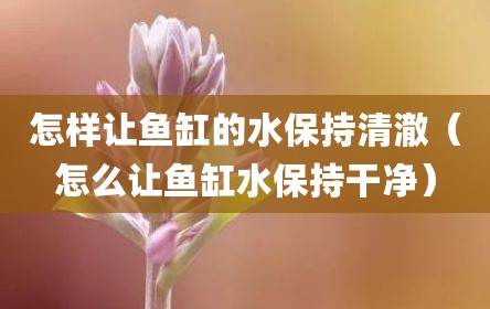 怎样让鱼缸的水保持清澈（怎么让鱼缸水保持干净）
