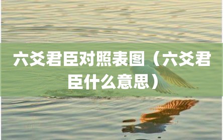 六爻君臣对照表图（六爻君臣什么意思）