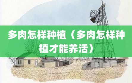 多肉怎样种植（多肉怎样种植才能养活）