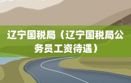 辽宁国税局（辽宁国税局公务员工资待遇）