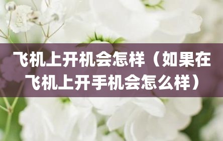 飞机上开机会怎样（如果在飞机上开手机会怎么样）