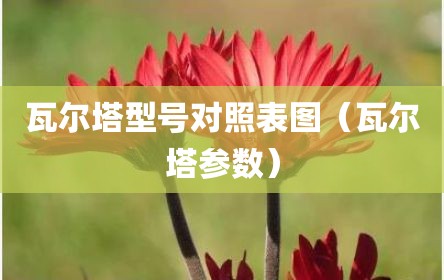 瓦尔塔型号对照表图（瓦尔塔参数）