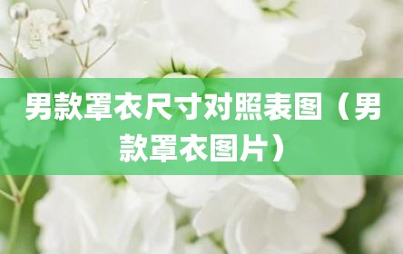 男款罩衣尺寸对照表图（男款罩衣图片）