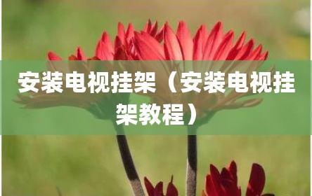 安装电视挂架（安装电视挂架教程）