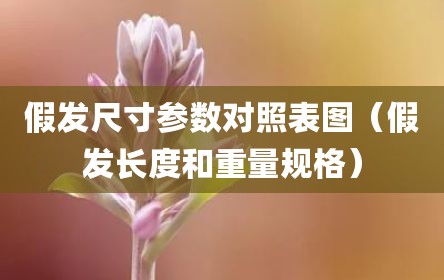 假发尺寸参数对照表图（假发长度和重量规格）