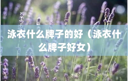 泳衣什么牌子的好（泳衣什么牌子好女）