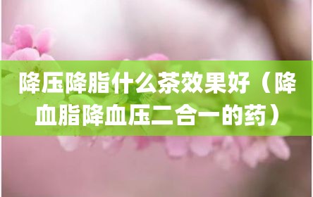 降压降脂什么茶效果好（降血脂降血压二合一的药）