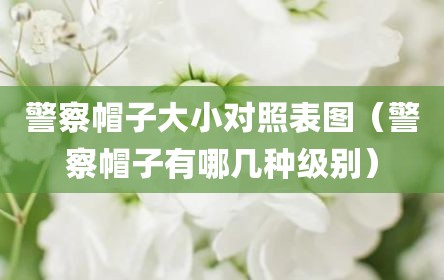 警察帽子大小对照表图（警察帽子有哪几种级别）
