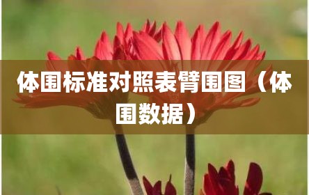 体围标准对照表臂围图（体围数据）