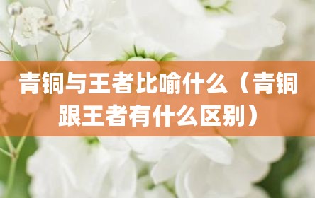 青铜与王者比喻什么（青铜跟王者有什么区别）