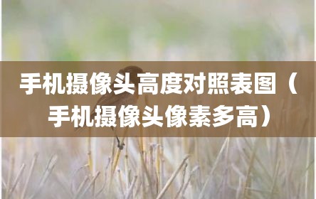 手机摄像头高度对照表图（手机摄像头像素多高）