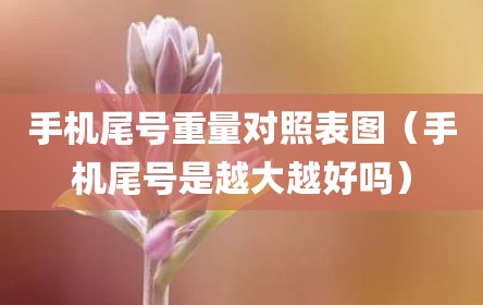 手机尾号重量对照表图（手机尾号是越大越好吗）