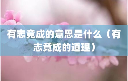 有志竟成的意思是什么（有志竟成的道理）