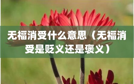 无福消受什么意思（无福消受是贬义还是褒义）