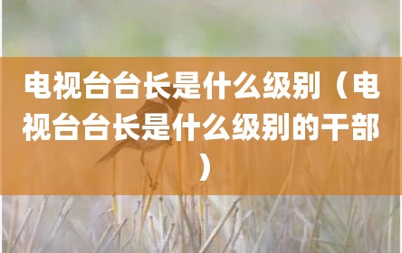 电视台台长是什么级别（电视台台长是什么级别的干部）