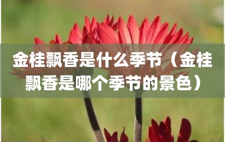 金桂飘香是什么季节（金桂飘香是哪个季节的景色）