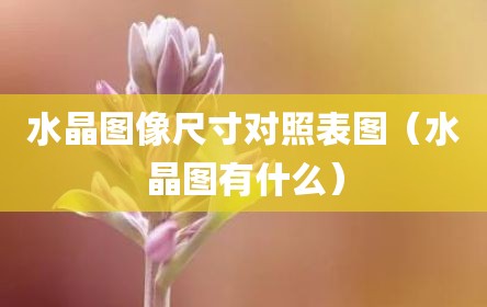 水晶图像尺寸对照表图（水晶图有什么）