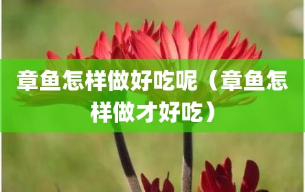 章鱼怎样做好吃呢（章鱼怎样做才好吃）