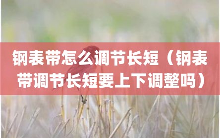 钢表带怎么调节长短（钢表带调节长短要上下调整吗）