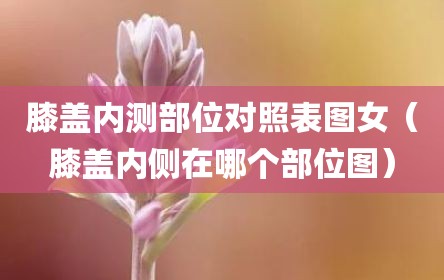 膝盖内测部位对照表图女（膝盖内侧在哪个部位图）