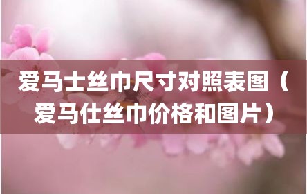 爱马士丝巾尺寸对照表图（爱马仕丝巾价格和图片）